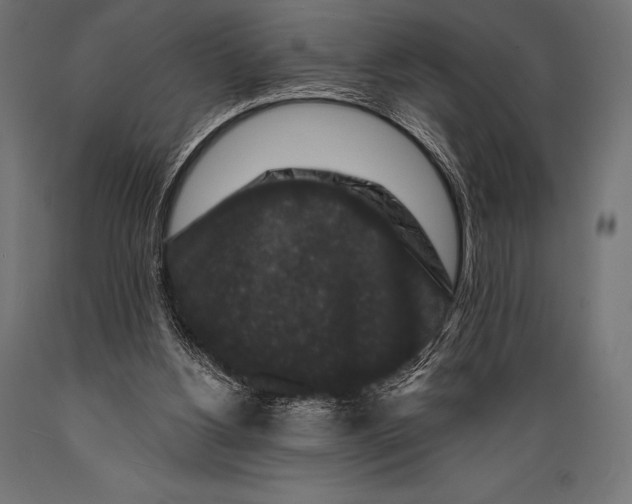 X0000088880156200706291611