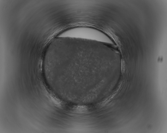 X0000088880157200706291611