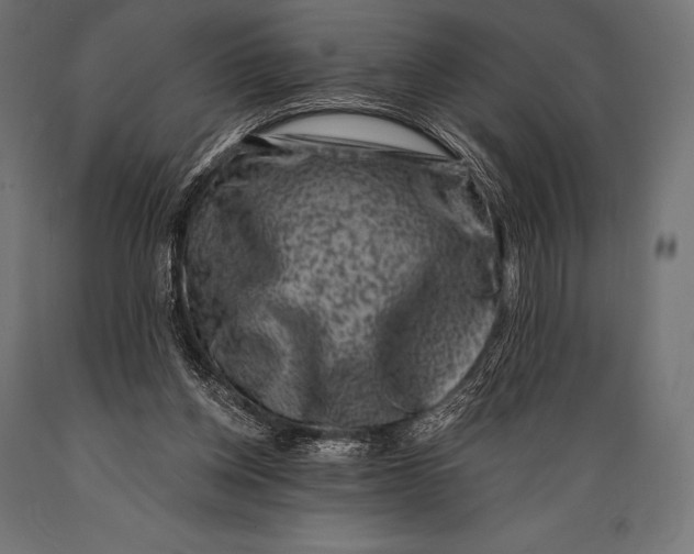 X0000088880158200706291611