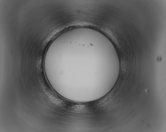 X0000088880159200706291611