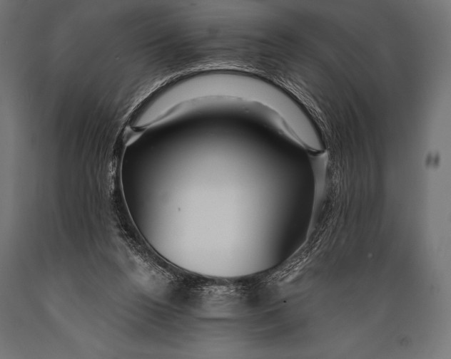 X0000088880160200706291611