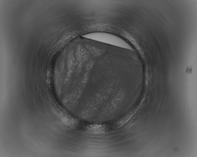 X0000088880161200706291611