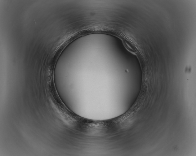 X0000088880164200706291612