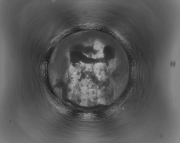 X0000088880165200706291612