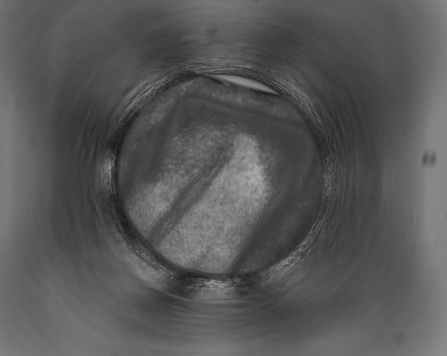 X0000088880166200706291612