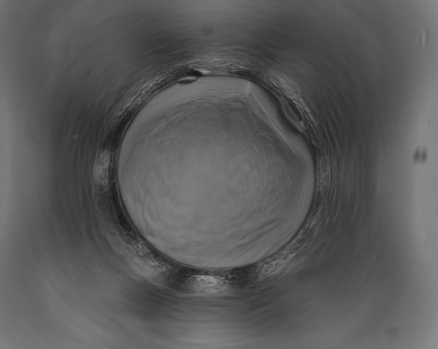 X0000088880167200706291612