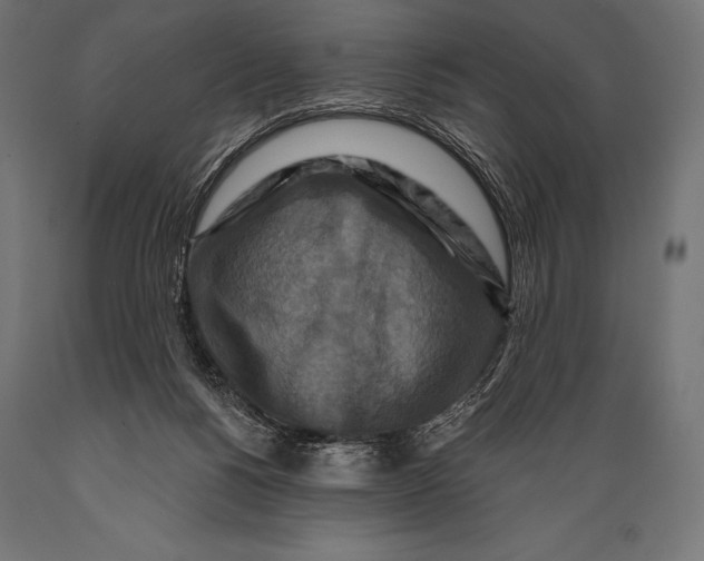 X0000088880168200706291612