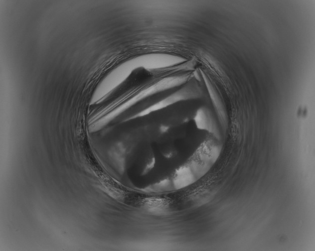 X0000088880169200706291612