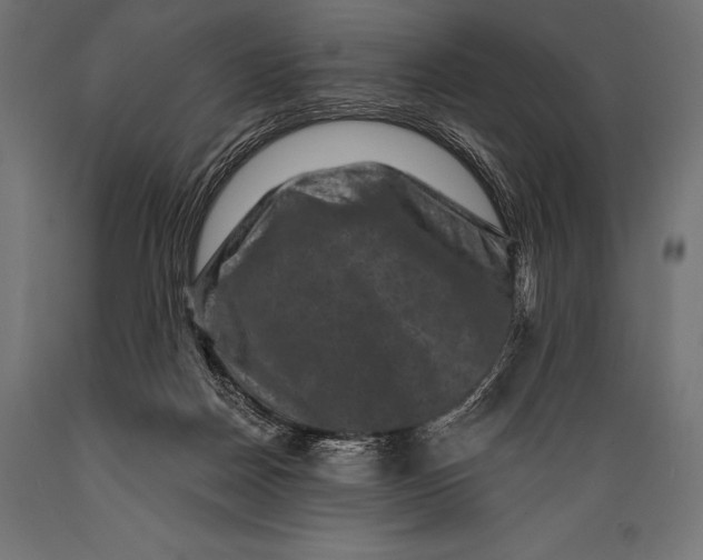 X0000088880170200706291612