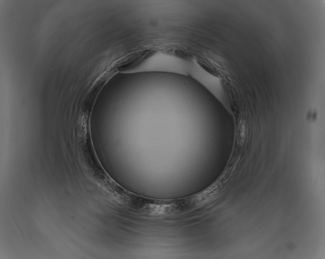 X0000088880172200706291612