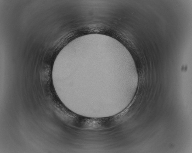 X0000088880174200706291612