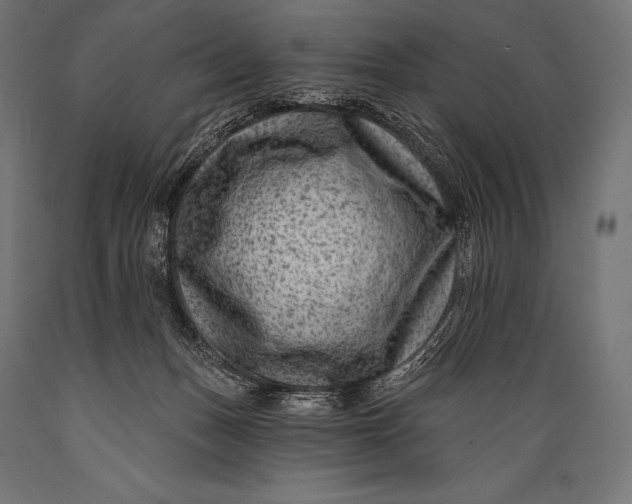 X0000088880175200706291612