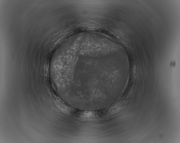 X0000088880177200706291612