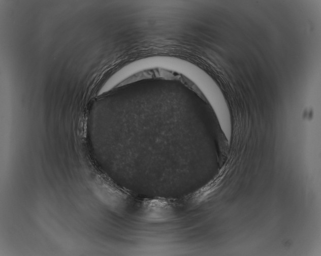 X0000088880180200706291612