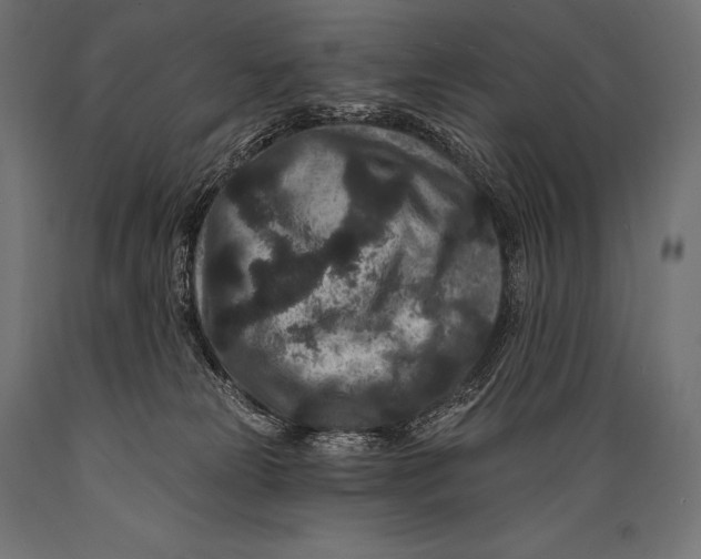 X0000088880181200706291612