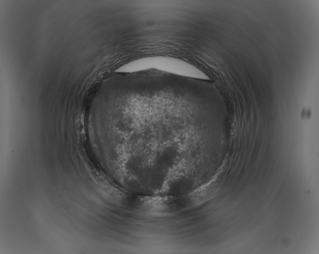 X0000088880182200706291612