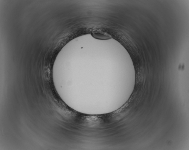 X0000088880183200706291612