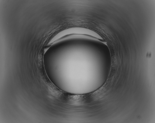 X0000088880184200706291612