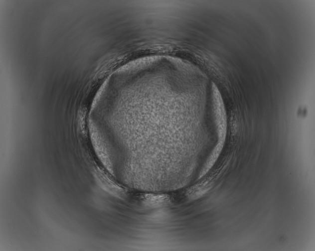 X0000088880185200706291612