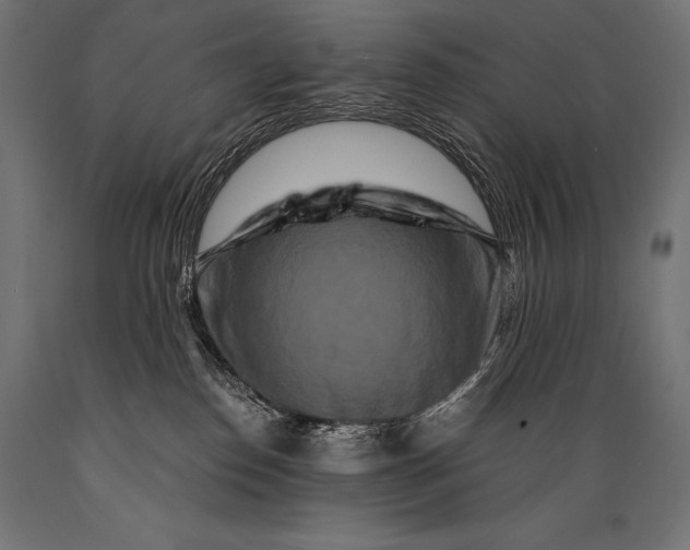 X0000088880186200706291612