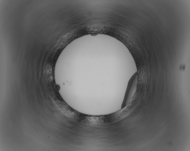 X0000088880187200706291612