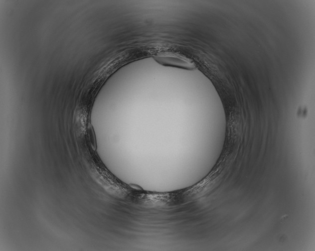 X0000088880188200706291612
