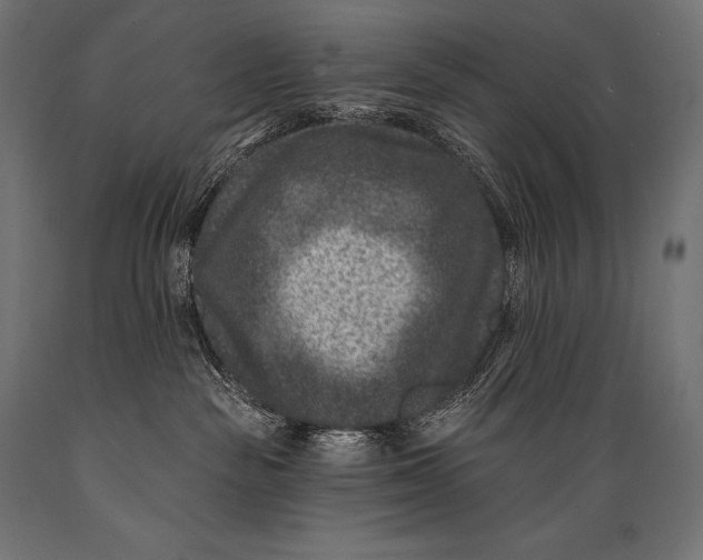 X0000088880189200706291612