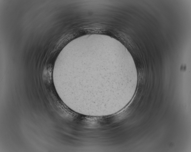 X0000088880190200706291612