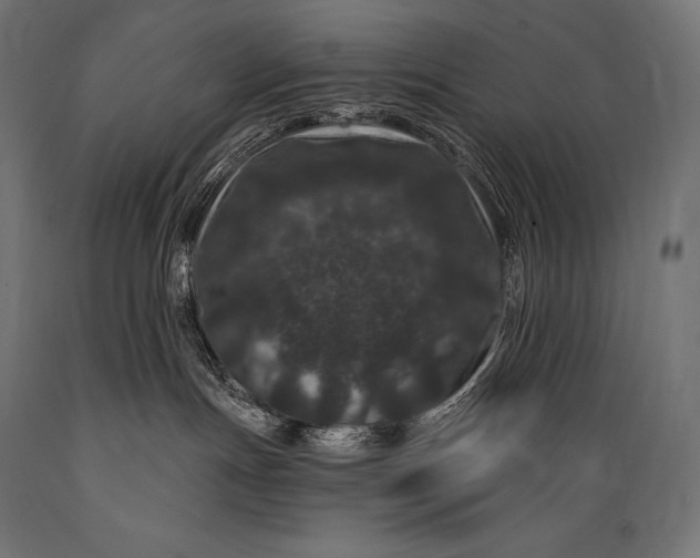 X0000088880191200706291612