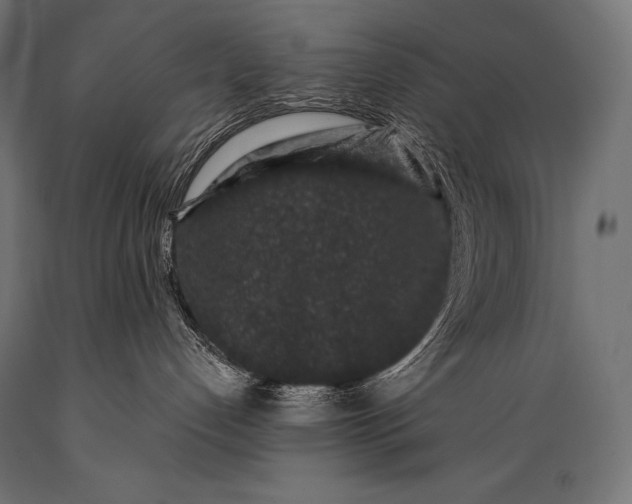 X0000088880192200706291612