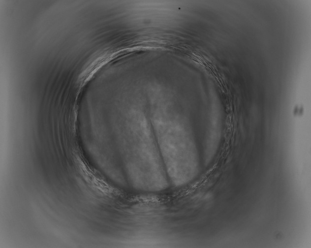 X0000088880194200706291611