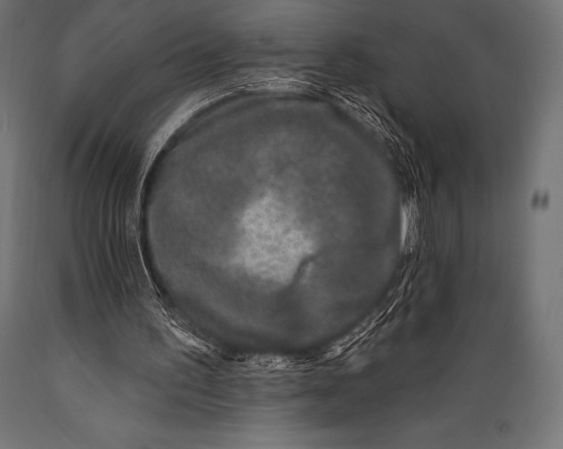 X0000088880195200706291611