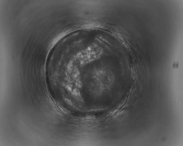 X0000088880196200706291611