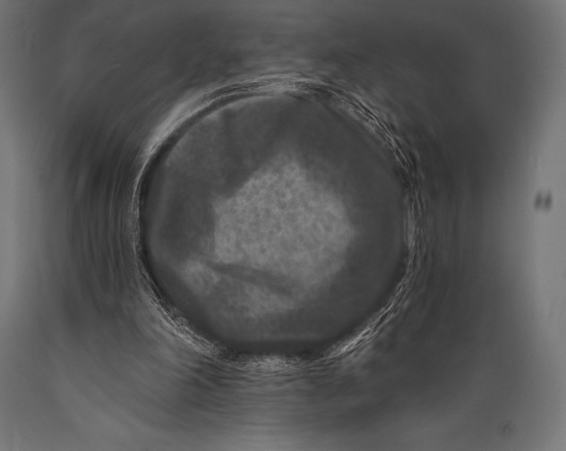 X0000088880198200706291611