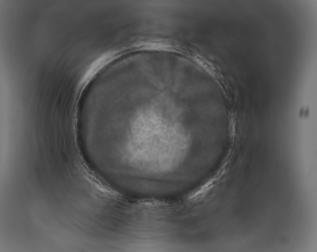 X0000088880199200706291611