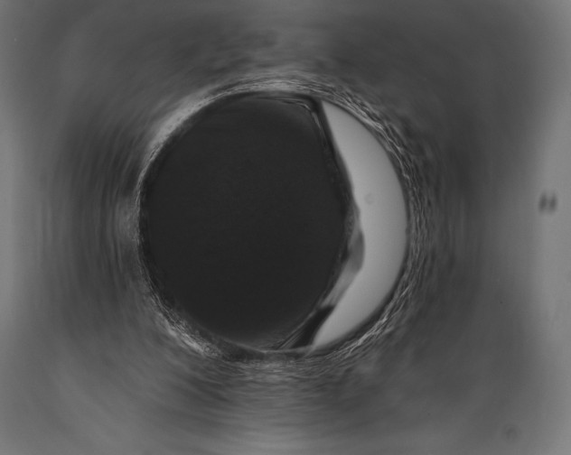 X0000088880200200706291611