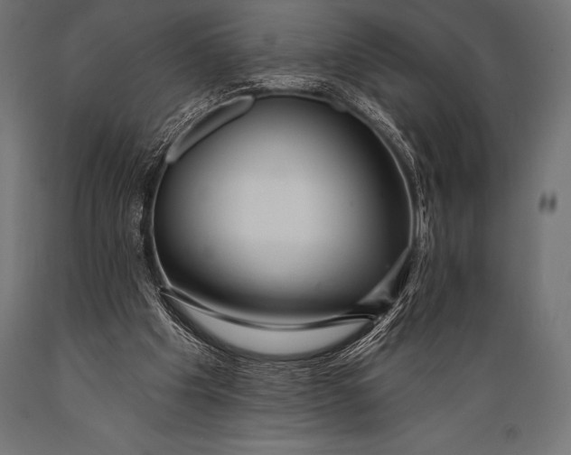 X0000088880201200706291611