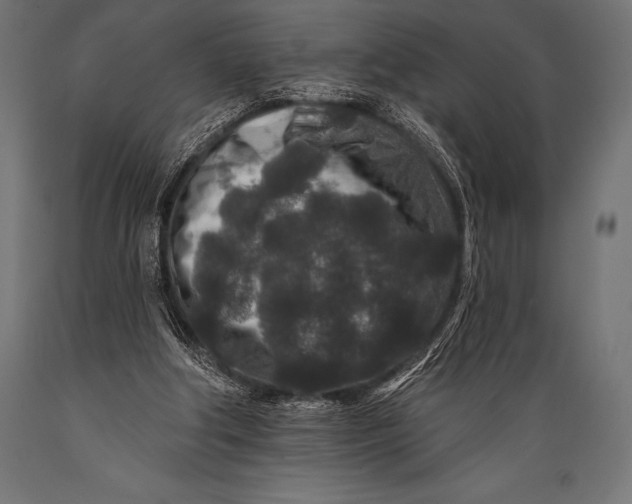 X0000088880202200706291611