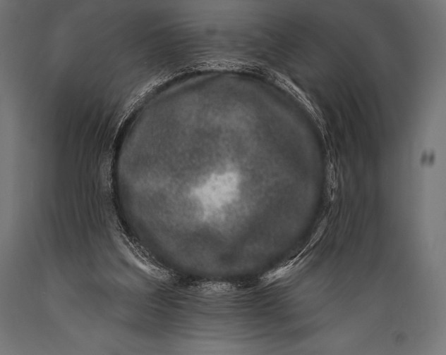 X0000088880203200706291611