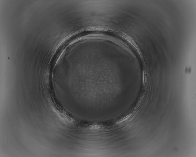 X0000088880204200706291611