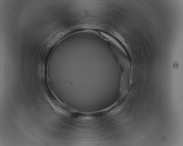 X0000088880205200706291611