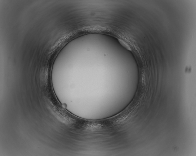 X0000088880206200706291611