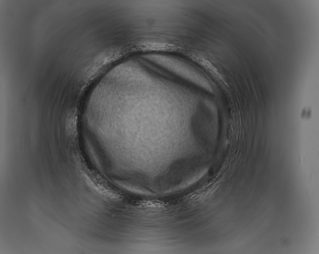 X0000088880207200706291611