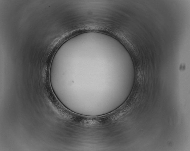 X0000088880208200706291611