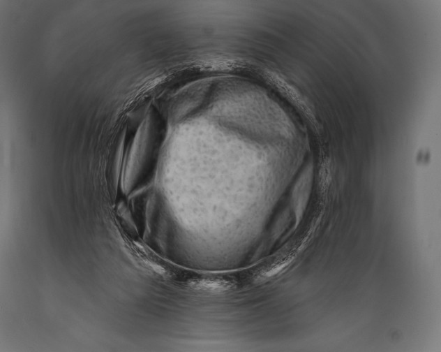 X0000088880209200706291611