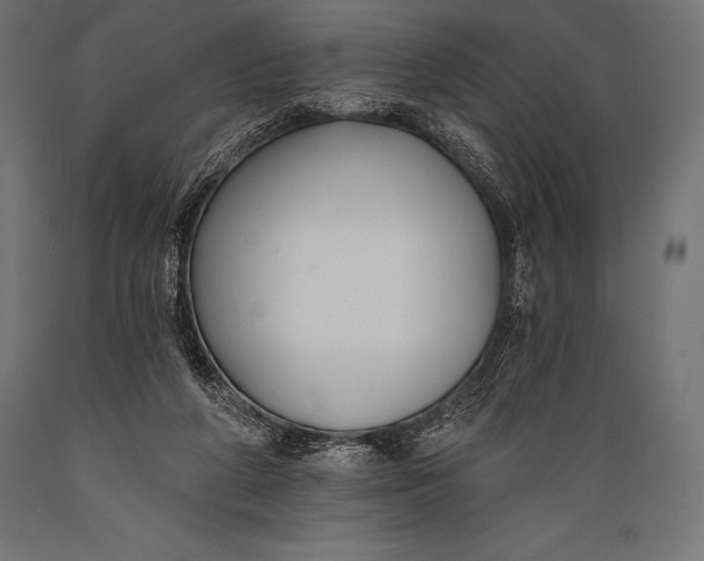 X0000088880210200706291611