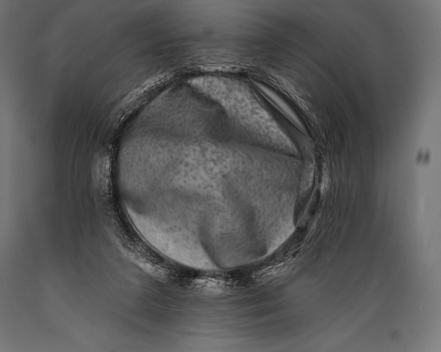 X0000088880211200706291611