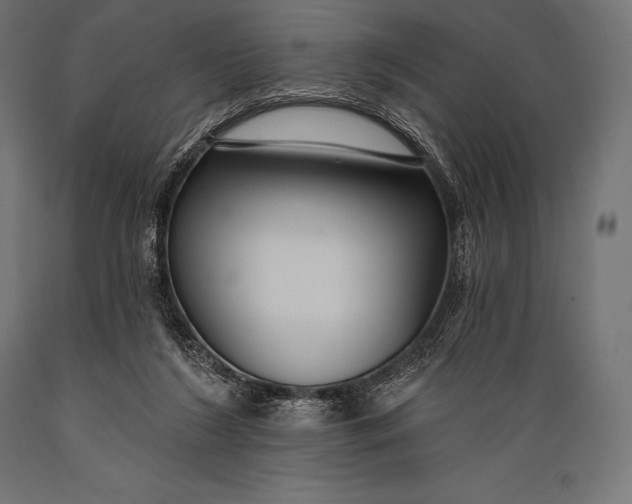 X0000088880212200706291611