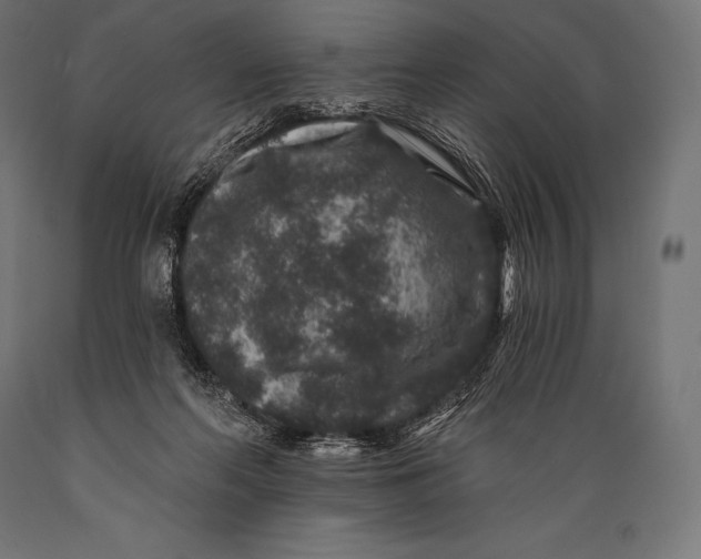 X0000088880214200706291611