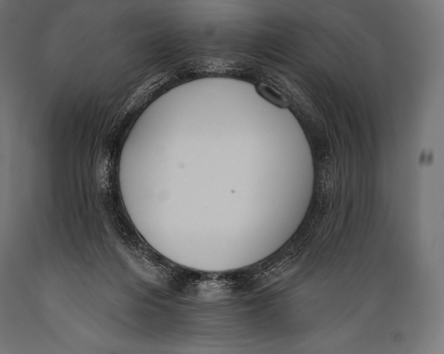 X0000088880216200706291611